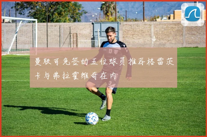 曼联可免签的五位球员推荐格雷茨卡与弗拉霍维奇在内