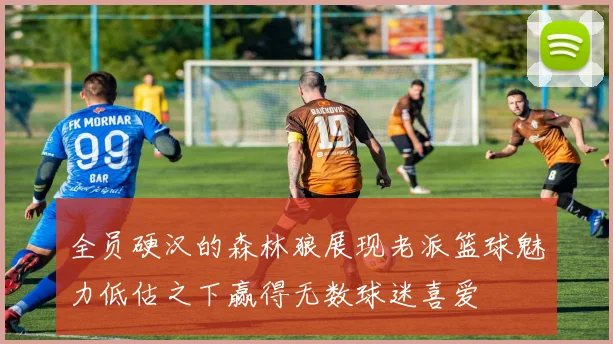 全员硬汉的森林狼展现老派篮球魅力低估之下赢得无数球迷喜爱